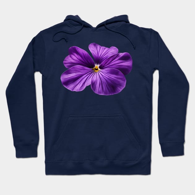 Intricately Detailed February Viola Flower Hoodie by taiche